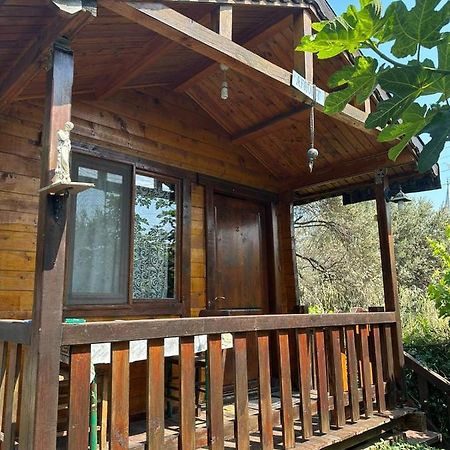 Olimpos Bungalov Apart Aparthotel Balikliova Kültér fotó